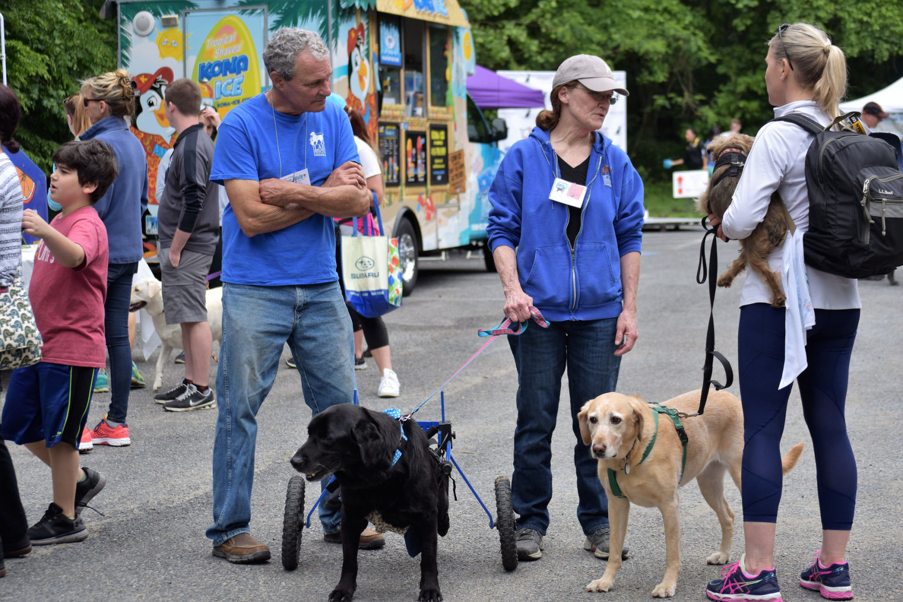 Lab Rescue - 2017 Lab Walk7.jpg